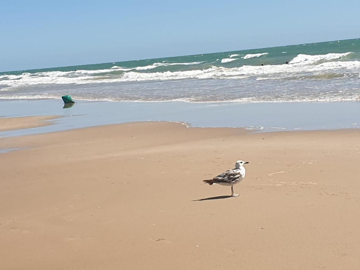 Apartamento Vista Azul Costa Ballena Luaran gambar