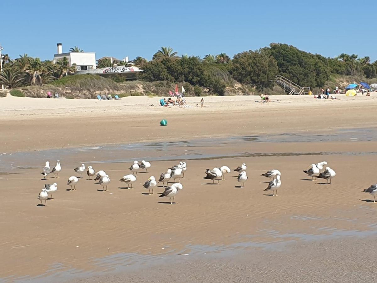Apartamento Vista Azul Costa Ballena Luaran gambar